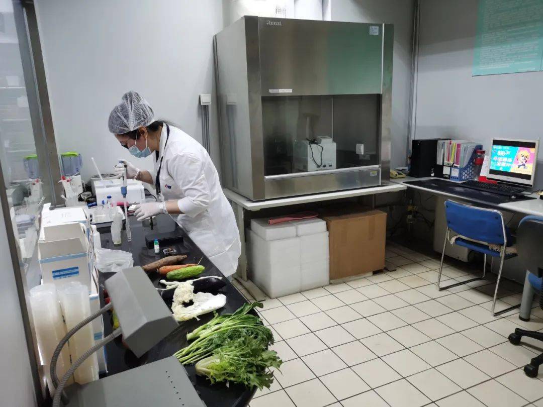 云南食品检测实验室装修方案